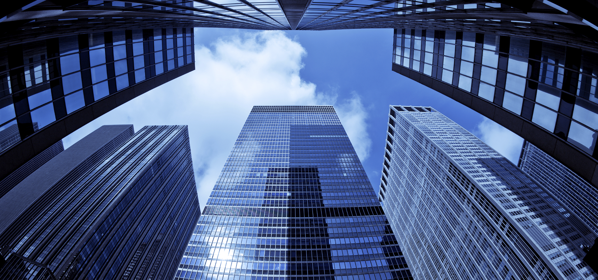 Building Strong Foundations for the Future